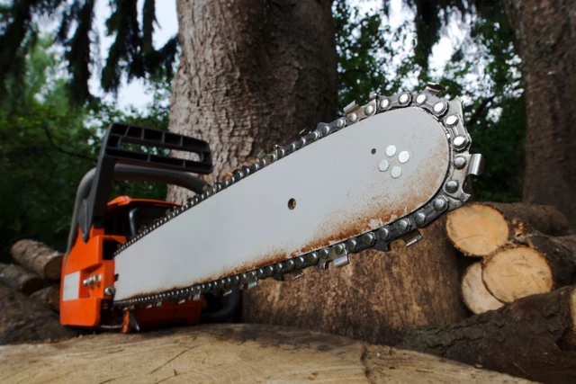 Your Life Will Change Knowing What Chainsaws Were Invented For