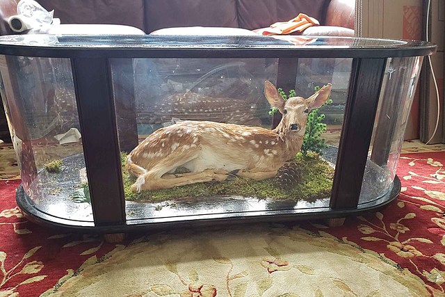 Is This Deer Coffee Table For Sale In Utica Real?