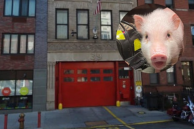 You Won't Believe What This New York Fire Department Has As Their Mascot