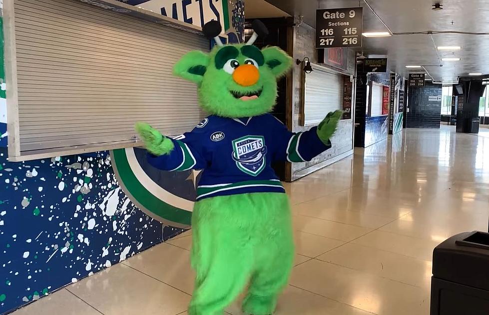 Where Did The Utica Comets Mascot Audie Go?- Meet The Fascinating Naudie