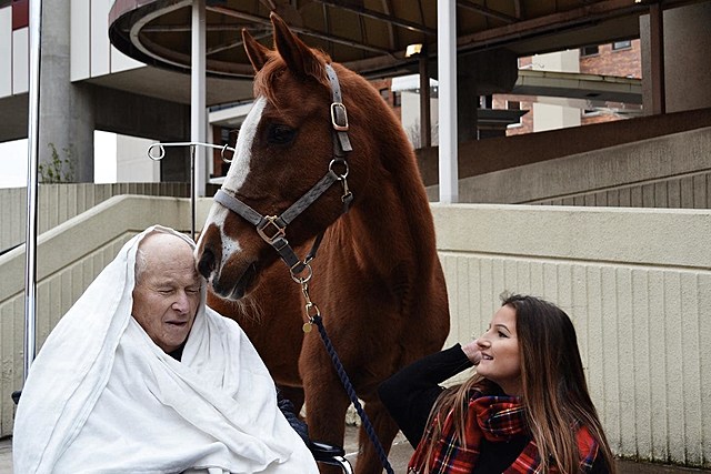 Syracuse Woman Grants Her Grandfather's Final Wish, Seeing Her Horse One Last Time