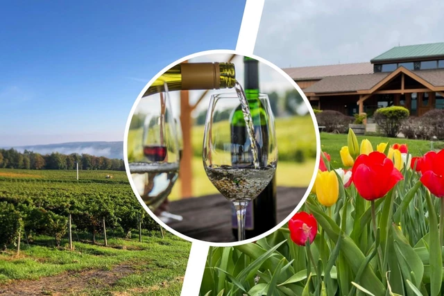 Cheers: Here's Your Chance To Own A Winery in the Finger Lakes, New York