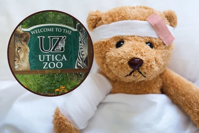 The Utica Zoo Cares For All…Including Teddy Bears and Stuffed Animals