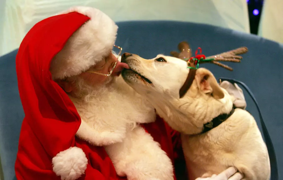 Brunch With Santa Being Held At Woodland Farm Brewery Of Utica