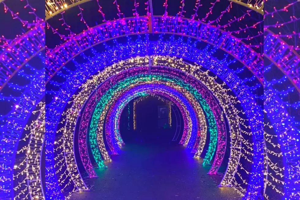 Make Memories at Wild Winter Wonderland of Lights & Help Feed the Hungry