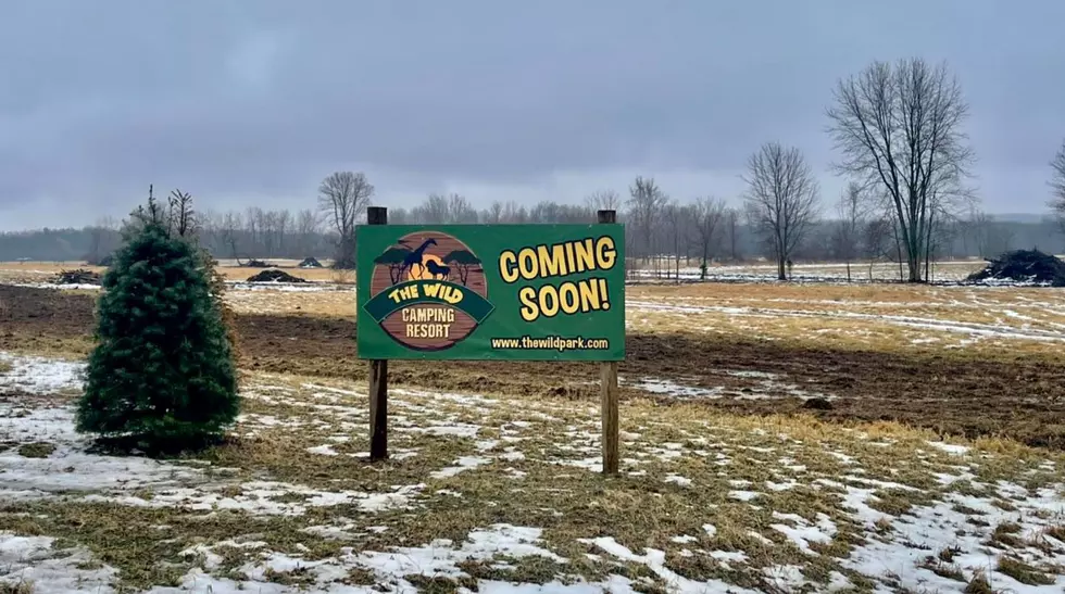 What in the Wild is Holding Up Construction at Luxury Camping Resort