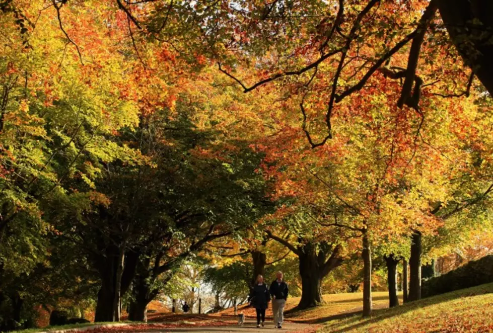 REPORT: Upstate New York’s First Fall Foliage Map of 2022 Has Arrived