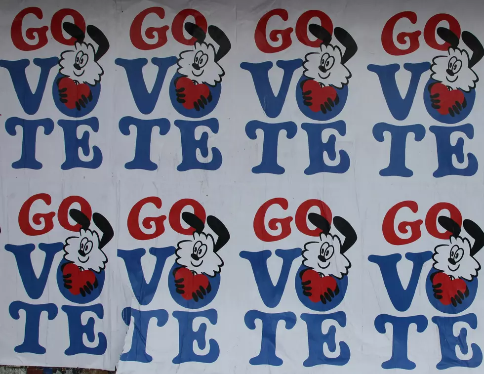 Key Information You’ll Need For The Central New York 2024 Election