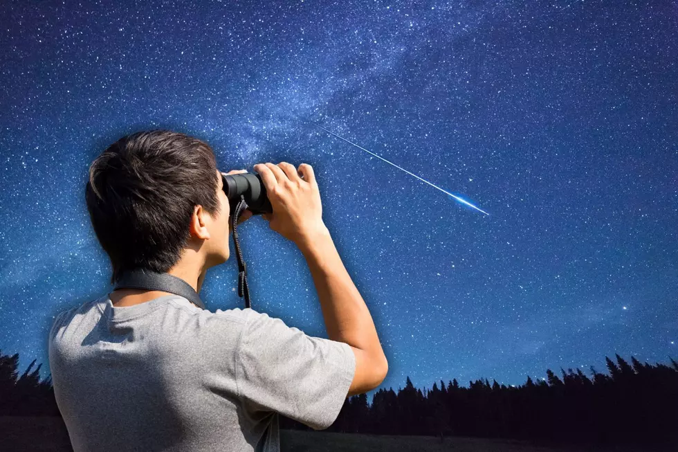 How To See The Pink Full Moon And Meteor Shower Over New York This Weekend