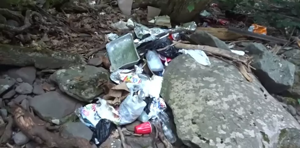How Much Will Littering Cost You In New York State?