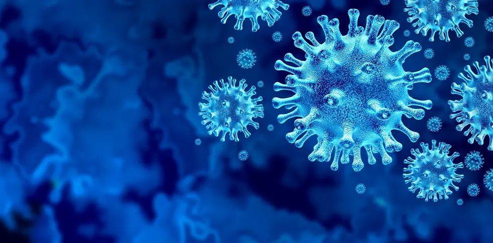 New COVID Variant Spreading In New York May Ruin Holiday Season